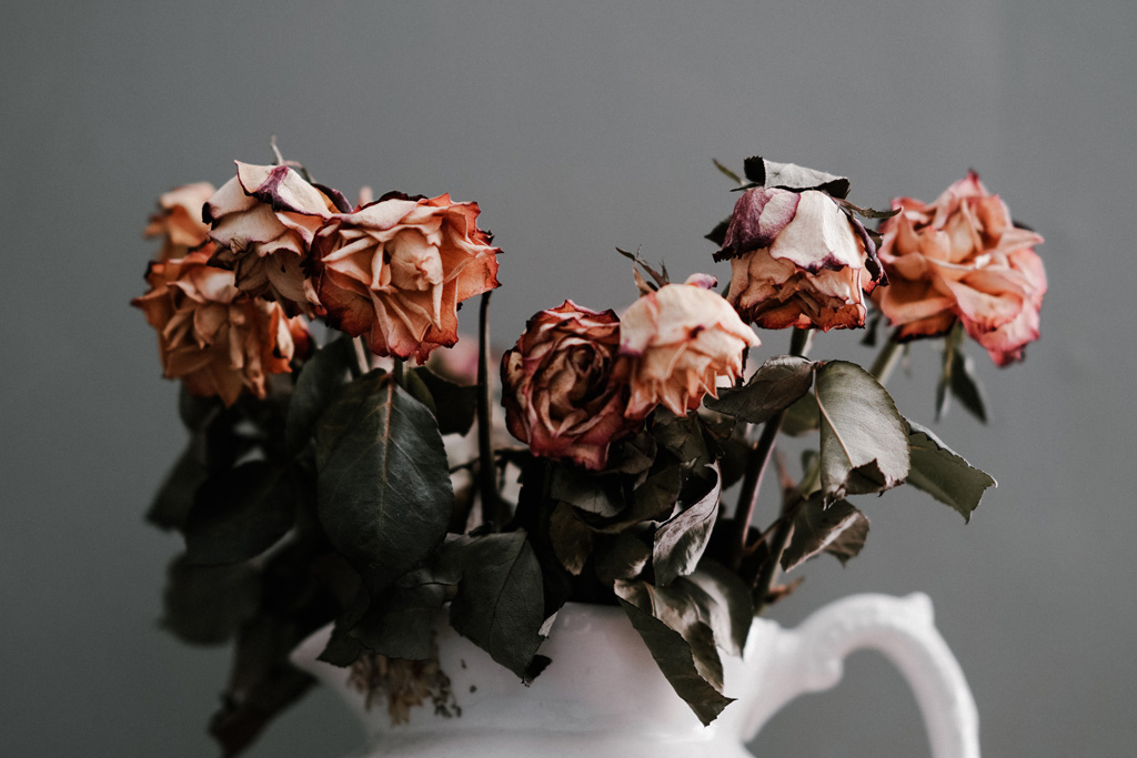 Decaying Flowers
